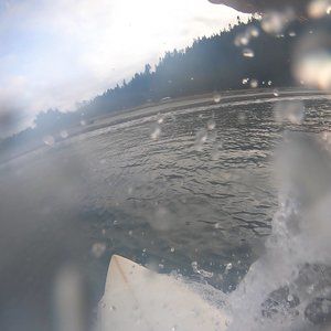 Meet your Posher, Moses